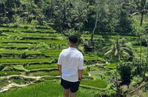 Bali Full Day Customized Private Tours