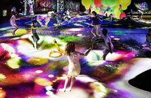 Tokyo TeamLab Borderless Admission Ticket