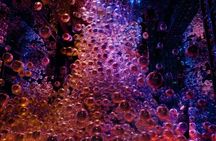 Tokyo TeamLab Borderless Admission Ticket
