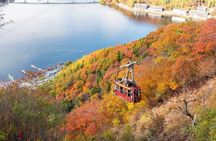 Mount Fuji and Lake Kawaguchiko Panoramic Ropeway Day Trip