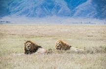 3 Day Classic Safari Tarangire and Manyara and Ngorongoro Crater