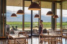 Alfa Crux Winery and Lunch in Piedra Infinita Zuccardi