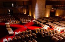 Alfa Crux Winery and Lunch in Piedra Infinita Zuccardi