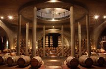 Visit Bodega Salentein and Lunch in Bodega Piedra Infinita