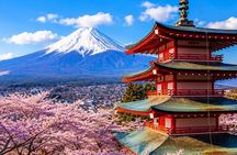 Mount Fuji Full Day Customize Private Tour With English Guide