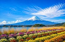 Mount Fuji Full Day Customize Private Tour With English Guide