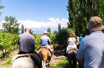 Horseback Riding in Mendoza through the vineyards and river with optional Asado.