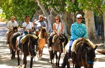 Horseback Riding in Mendoza through the vineyards and river with optional Asado.