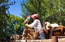 Horseback Riding in Mendoza through the vineyards and river with optional Asado.