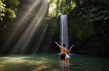 Ubud Top Waterfalls and Rice Terrace Day Tour