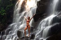 Ubud Top Waterfalls and Rice Terrace Day Tour