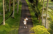 Ubud Top Waterfalls and Rice Terrace Day Tour