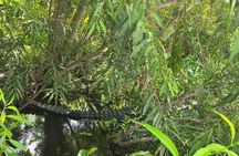 1-Hour Shared Airboat Tour in Kissimmee