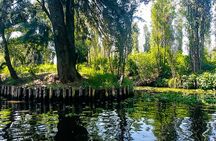 Xochimilco Nature Reserve, Original Doll Island and Axolotls