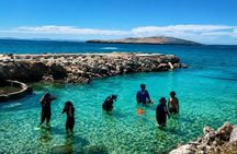Coral Planting & Snorkeling: Hands-On Reef Nursery in La Paz