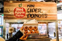 Boston Haunted Donut Tour: Sweet Treats and Spooky Stories