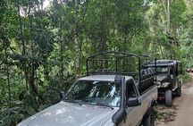 Castelhanos 4x4 Adventure in Ilhabela