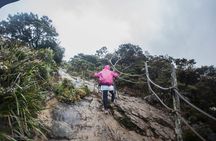 Mount Kinabalu 2Days 1Night