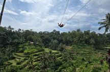 Bali Ubud Activities Tour