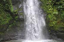 Bali Ubud Activities Tour