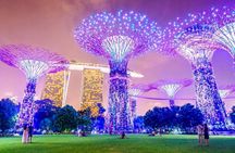 Singapore River Cruise, Night Garden Rhapsody & Spectra by LRDT