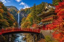 From Tokyo: Nikko Sightseeing Customized Private Tour