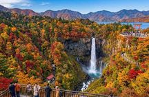 From Tokyo: Nikko Sightseeing Customized Private Tour