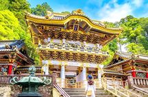 From Tokyo: Nikko Sightseeing Customized Private Tour