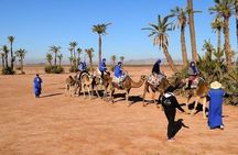 Marrakech: Palmeraie 2 hours Quad Bike and Camel Ride & transfer