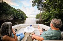 Luxury Boat Adventure to Three City Mangroves and Coastal Reefs