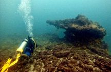 Marietas Islands 2-Tank Scuba Diving Sayulita & Riviera Nayarit