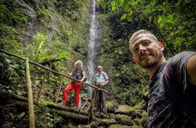 Howler Monkey Experience: Nature, Filandia & Local Flavors