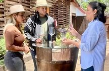 Wine Tasting Tour ONLY for Cruise Ship Visitors. ALL INCLUSIVE!