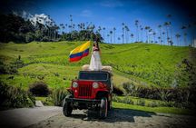 Cocora Valley, Salento & Filandia Private Full-Day Tour