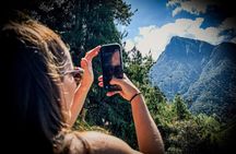 Cocora Valley, Salento & Filandia Private Full-Day Tour