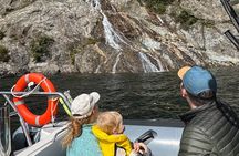 Fiordland Adventures: 2-Hour Discovery Cruise in Te Anau