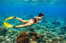 Lovina Family Adventure Dolphins, Sunrise and Snorkeling