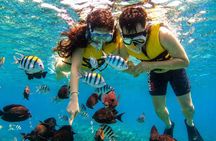 Lovina Dolphin Swim & Snorkel Sunrise with Scenic Viewpoints