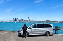 Private Tour - An intro to Auckland - The lay of the land
