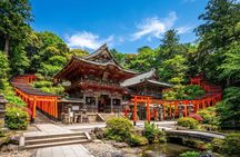 Tokyo: Nezu Shrine & Yanaka Old Town Walking Tour