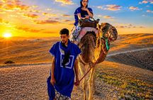 Experience Quads, Camel Ride with Dinner & Show in Agafay Desert