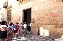 Malaga: Picasso Museum Small Group Art Expert Guide