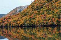 Cabot Trail; Shore Excursion; Sydney Port Cape Breton Island