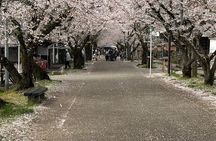 Fukuoka, Akizuki Private Car and E-Bike Tour