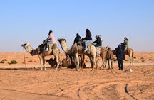 Camel Ride at Sunset & Overnight Stay in a Sahara Camp