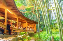 Private Day Trip from Tokyo to Kamakura and Enoshima Island
