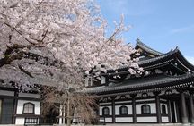 Private Day Trip from Tokyo to Kamakura and Enoshima Island