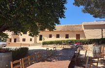 La Vendimia Bobal Harvest Experience in Requena
