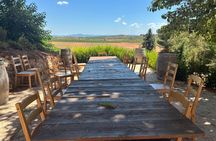 La Vendimia Bobal Harvest Experience in Requena