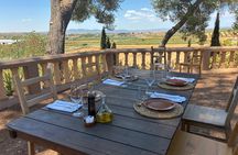La Vendimia Bobal Harvest Experience in Requena